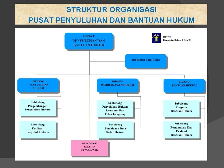 STRUKTUR ORGANISASI PUSAT PENYULUHAN DAN BANTUAN HUKUM 