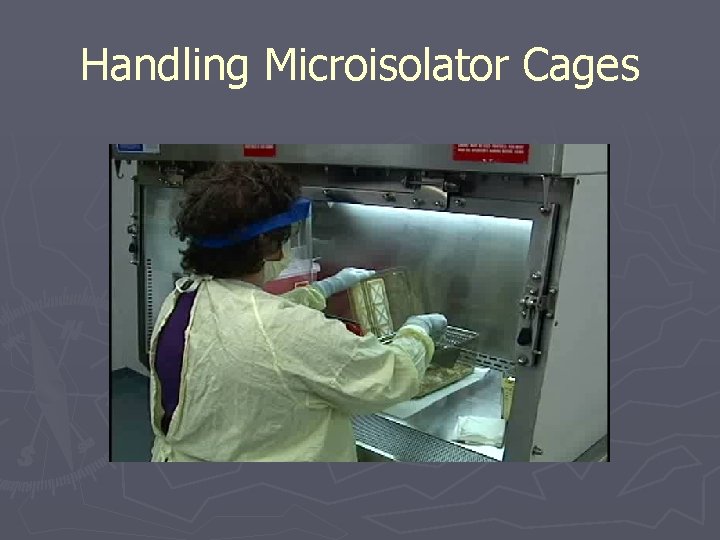 Handling Microisolator Cages 