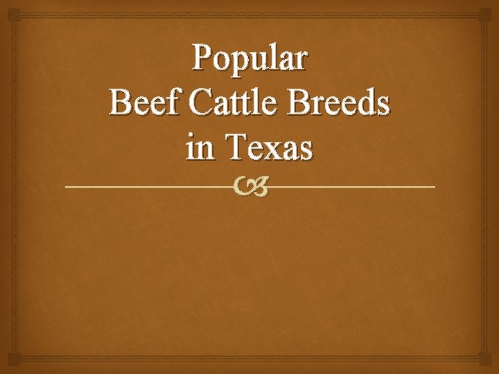 Popular Beef Cattle Breeds in Texas 