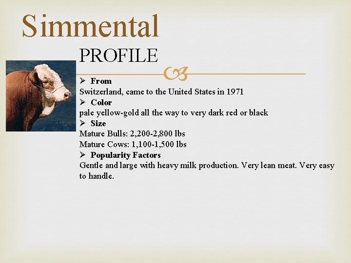Simmental PROFILE Ø From Switzerland, came to the United States in 1971 Ø Color