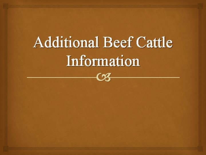 Additional Beef Cattle Information 