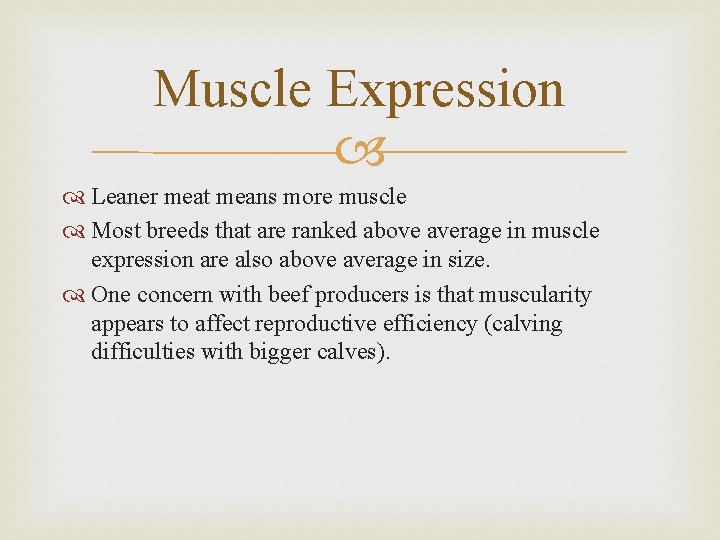 Muscle Expression Leaner meat means more muscle Most breeds that are ranked above average