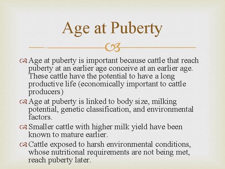 Age at Puberty Age at puberty is important because cattle that reach puberty at