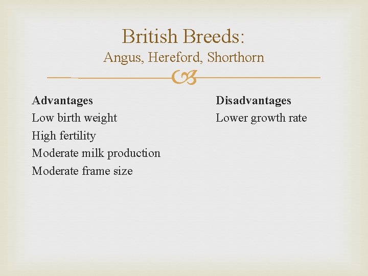 British Breeds: Angus, Hereford, Shorthorn Advantages Low birth weight High fertility Moderate milk production