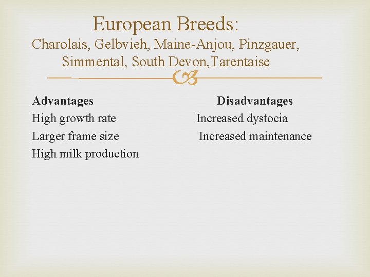 European Breeds: Charolais, Gelbvieh, Maine-Anjou, Pinzgauer, Simmental, South Devon, Tarentaise Advantages High growth rate