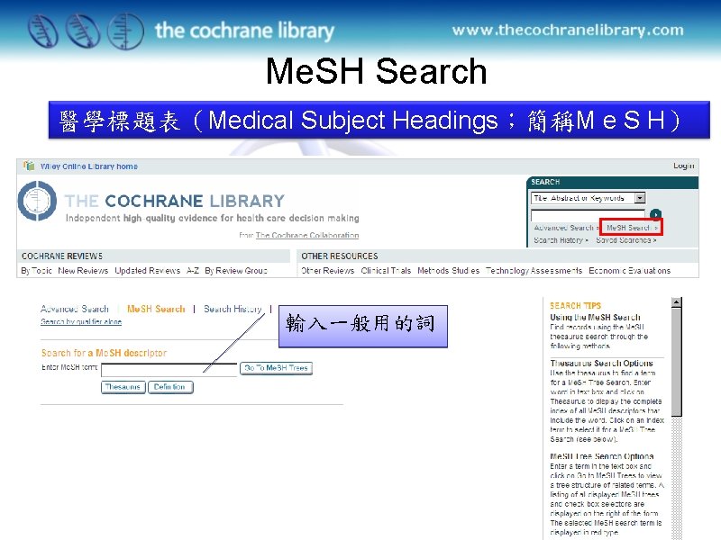 Me. SH Search 醫學標題表（Medical Subject Headings；簡稱M e S H） 輸入一般用的詞 