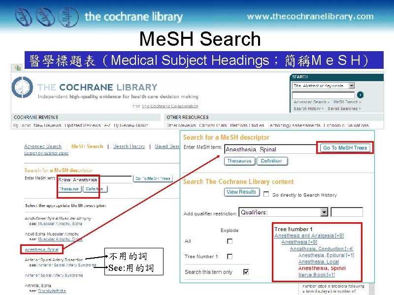 Me. SH Search 醫學標題表（Medical Subject Headings；簡稱M e S H） 不用的詞 See: 用的詞 