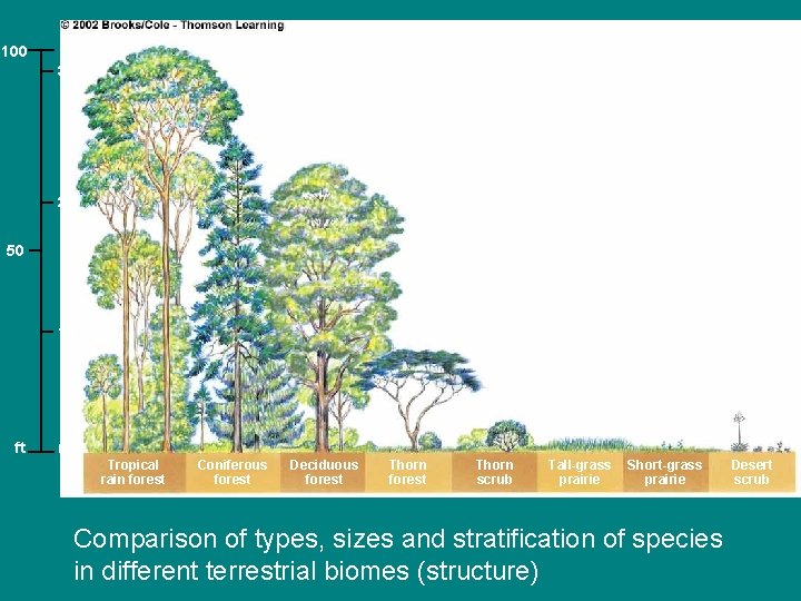 100 30 20 50 10 ft m Tropical rain forest Coniferous forest Deciduous forest
