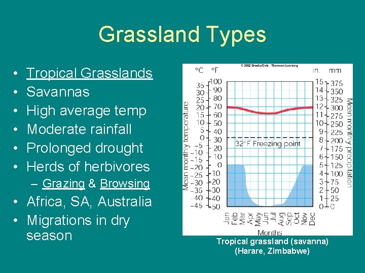 Grassland Types • • • Tropical Grasslands Savannas High average temp Moderate rainfall Prolonged