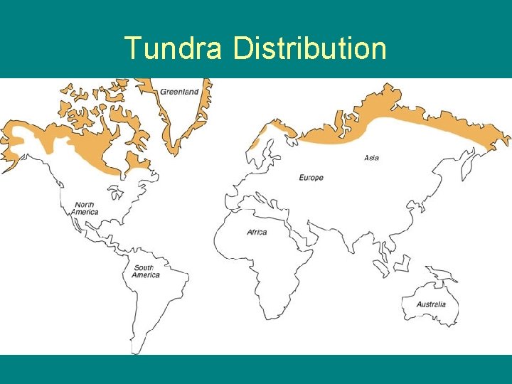 Tundra Distribution 