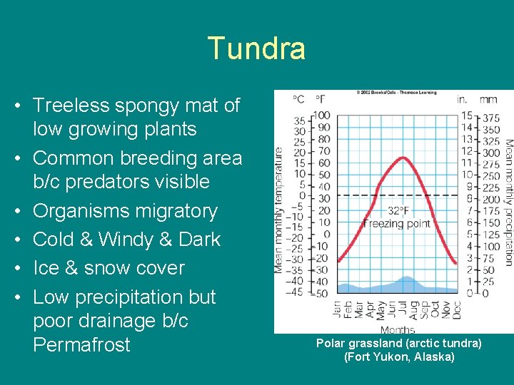 Tundra • Treeless spongy mat of low growing plants • Common breeding area b/c