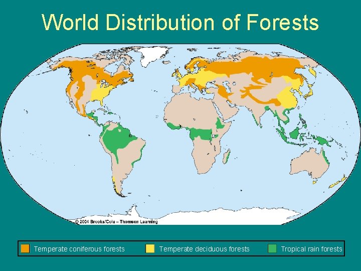 World Distribution of Forests Temperate coniferous forests Temperate deciduous forests Tropical rain forests 