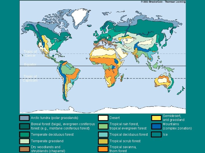 Tropic of Cancer Equator Tropic of Capricorn Arctic tundra (polar grasslands) Desert Boreal forest