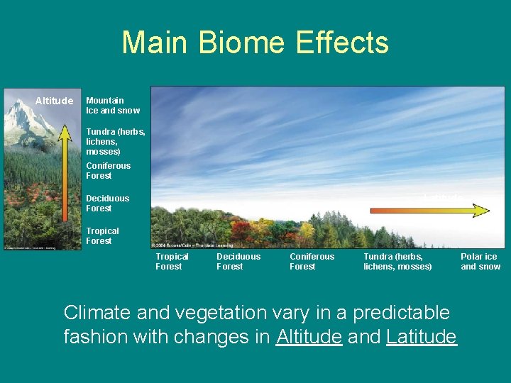 Main Biome Effects Altitude Mountain Ice and snow Tundra (herbs, lichens, mosses) Coniferous Forest