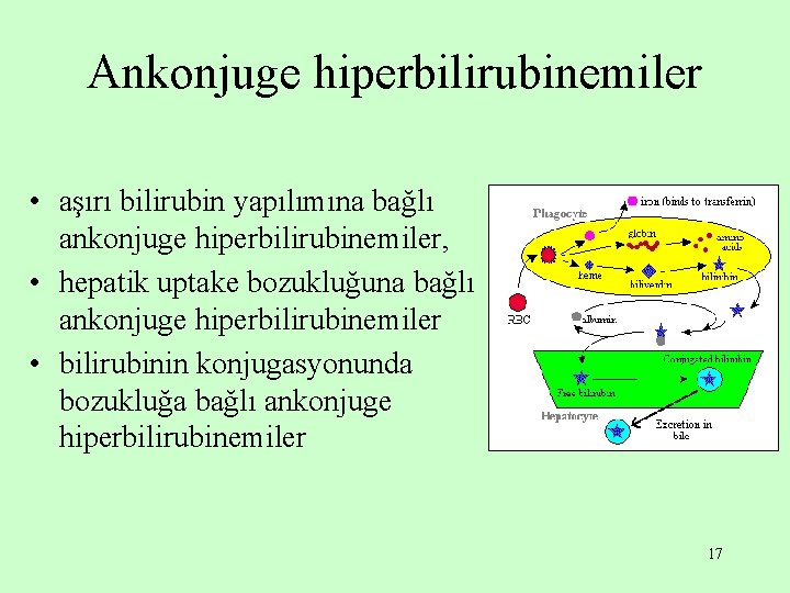 Ankonjuge hiperbilirubinemiler • aşırı bilirubin yapılımına bağlı ankonjuge hiperbilirubinemiler, • hepatik uptake bozukluğuna bağlı