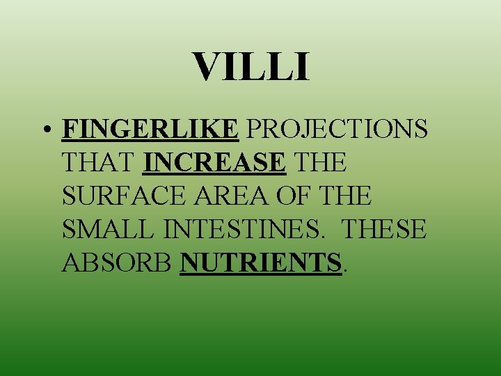 VILLI • FINGERLIKE PROJECTIONS THAT INCREASE THE SURFACE AREA OF THE SMALL INTESTINES. THESE