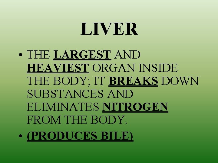 LIVER • THE LARGEST AND HEAVIEST ORGAN INSIDE THE BODY; IT BREAKS DOWN SUBSTANCES