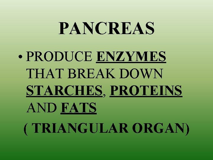 PANCREAS • PRODUCE ENZYMES THAT BREAK DOWN STARCHES, PROTEINS AND FATS ( TRIANGULAR ORGAN)