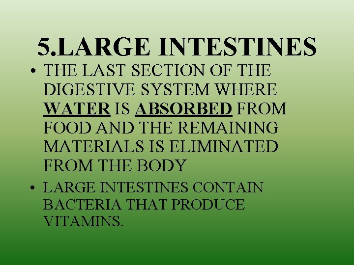 5. LARGE INTESTINES • THE LAST SECTION OF THE DIGESTIVE SYSTEM WHERE WATER IS