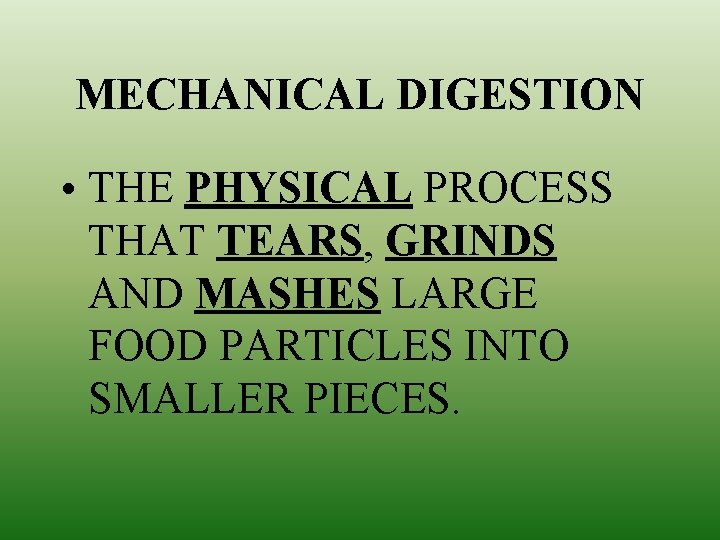 MECHANICAL DIGESTION • THE PHYSICAL PROCESS THAT TEARS, GRINDS AND MASHES LARGE FOOD PARTICLES