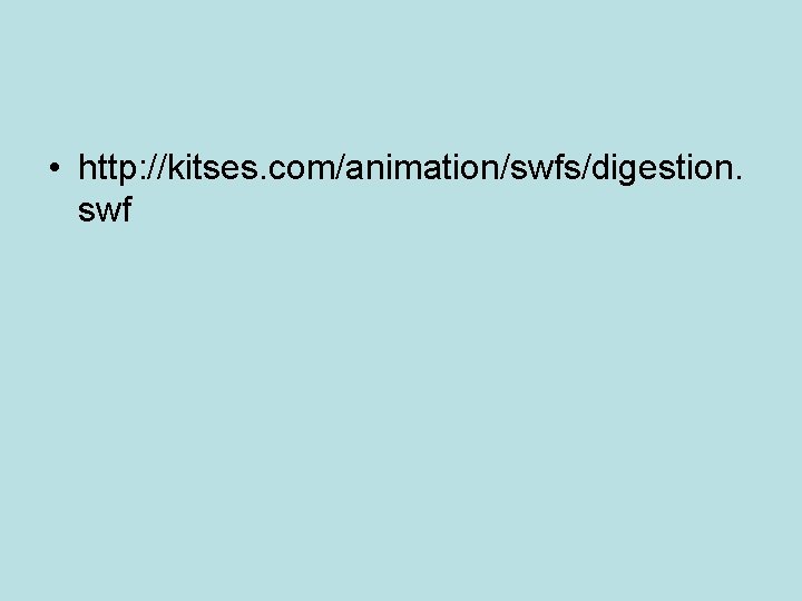  • http: //kitses. com/animation/swfs/digestion. swf 
