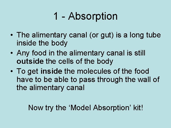 1 - Absorption • The alimentary canal (or gut) is a long tube inside