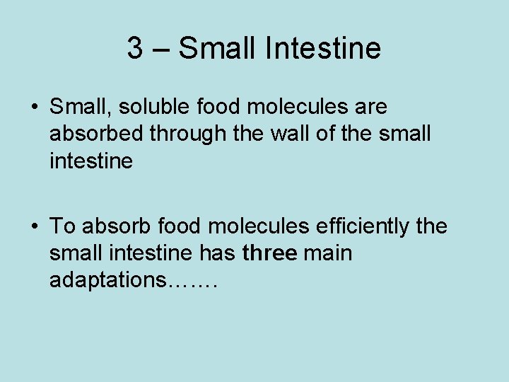 3 – Small Intestine • Small, soluble food molecules are absorbed through the wall