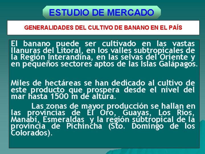 ESTUDIO DE MERCADO GENERALIDADES DEL CULTIVO DE BANANO EN EL PAÍS El banano puede