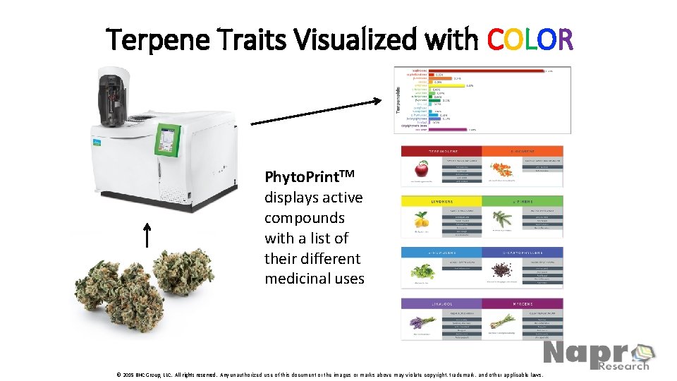 Terpene Traits Visualized with COLOR Phyto. Print. TM displays active compounds with a list