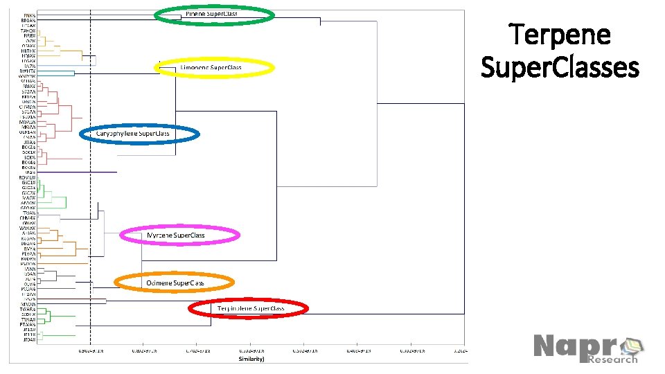 Terpene Super. Classes 