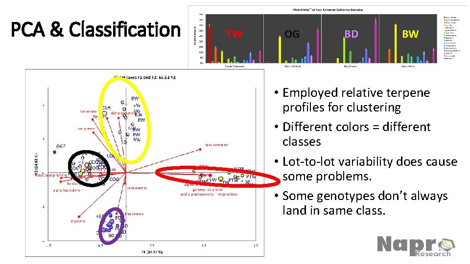 PCA & Classification TW OG BD BW • Employed relative terpene profiles for clustering