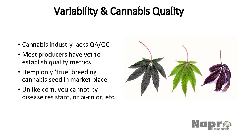 Variability & Cannabis Quality • Cannabis industry lacks QA/QC • Most producers have yet