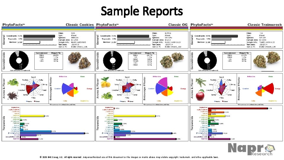 Sample Reports © 2015 BHC Group, LLC. All rights reserved. Any unauthorized use of