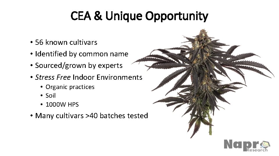 CEA & Unique Opportunity • 56 known cultivars • Identified by common name •
