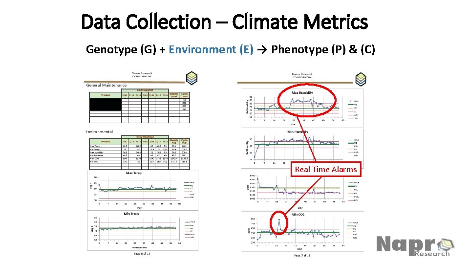 Data Collection – Climate Metrics Genotype (G) + Environment (E) → Phenotype (P) &