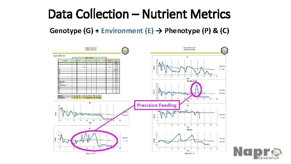 Data Collection – Nutrient Metrics Genotype (G) + Environment (E) → Phenotype (P) &
