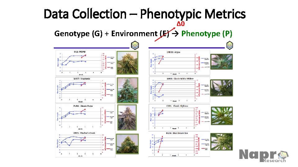 Data Collection – Phenotypic Metrics Δ 0 Genotype (G) + Environment (E) → Phenotype