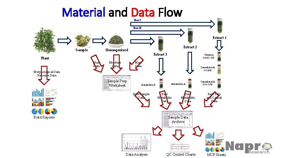 Material and Data Flow Tier II Extract 1 Sample Plant Extract 2 Homogenized Mass