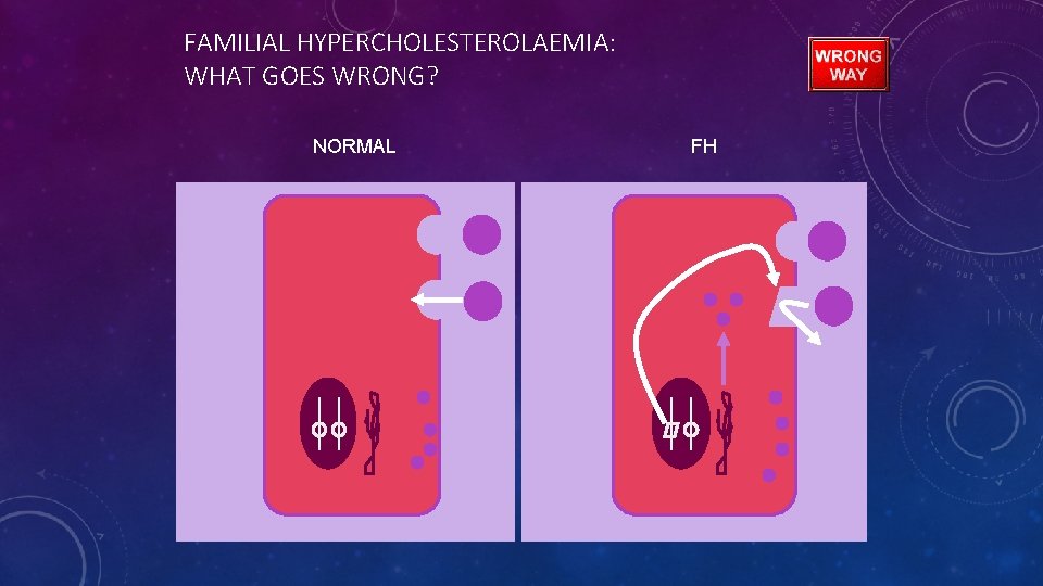 FAMILIAL HYPERCHOLESTEROLAEMIA: WHAT GOES WRONG? NORMAL FH 