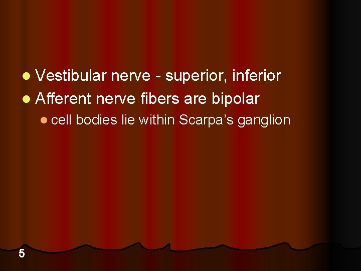 l Vestibular nerve - superior, inferior l Afferent nerve fibers are bipolar l cell