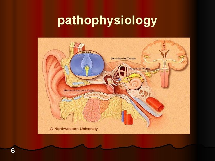 pathophysiology 6 