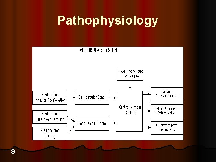 Pathophysiology 9 