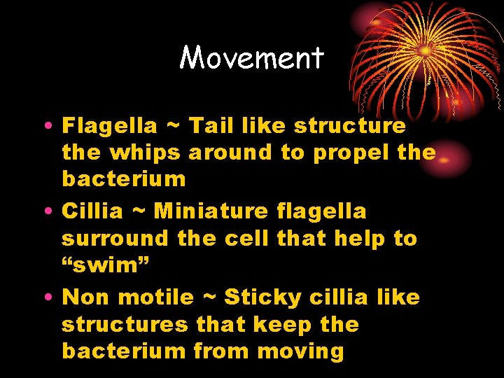 Movement • Flagella ~ Tail like structure the whips around to propel the bacterium