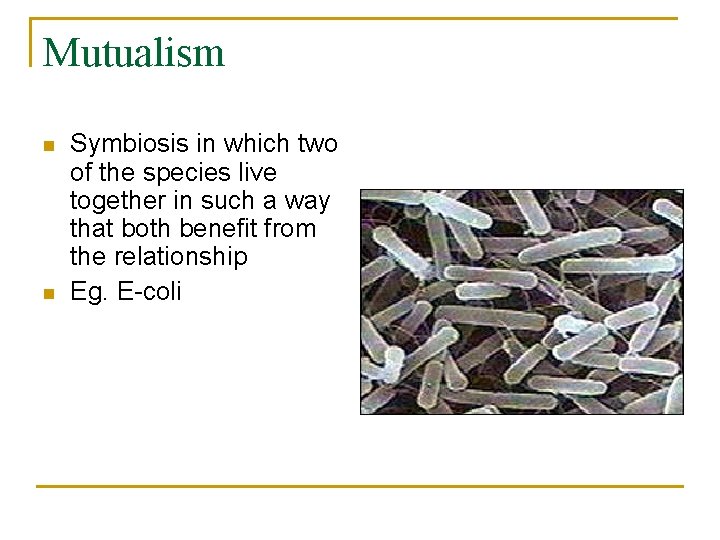 Mutualism n n Symbiosis in which two of the species live together in such