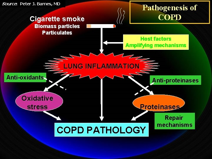 Source: Peter J. Barnes, MD Pathogenesis of COPD Cigarette smoke Biomass particles Particulates Host