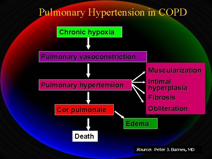 Pulmonary Hypertension in COPD Chronic hypoxia Pulmonary vasoconstriction Muscularization Pulmonary hypertension Cor pulmonale Intimal