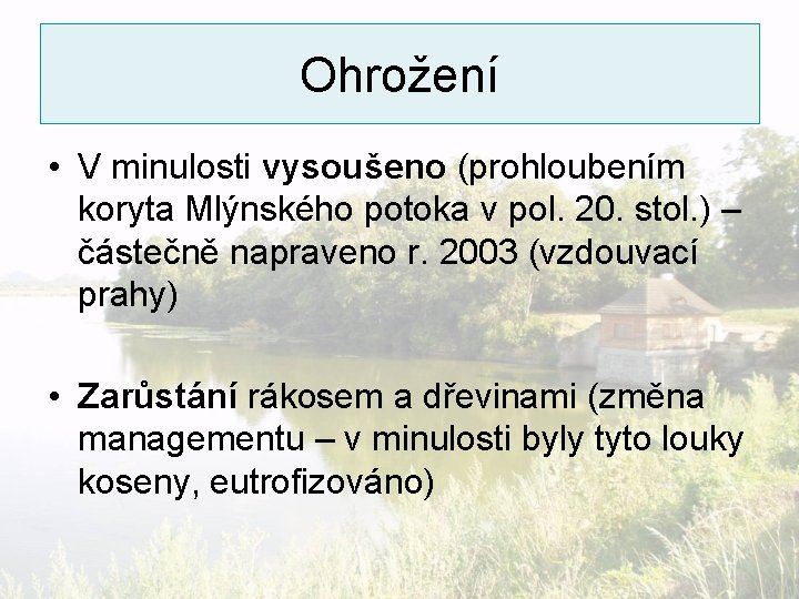 Ohrožení • V minulosti vysoušeno (prohloubením koryta Mlýnského potoka v pol. 20. stol. )