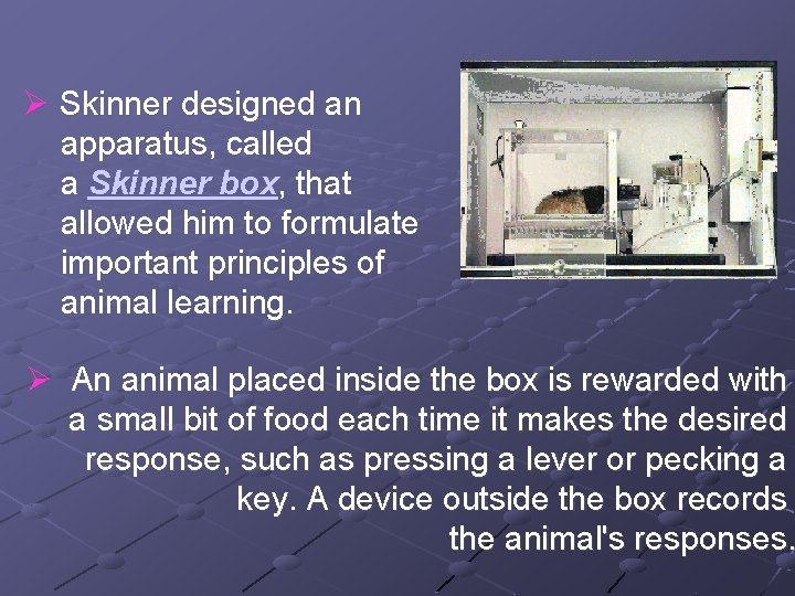 Ø Skinner designed an apparatus, called a Skinner box, that allowed him to formulate