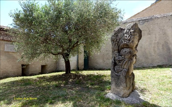 L’arbre de la liberté 