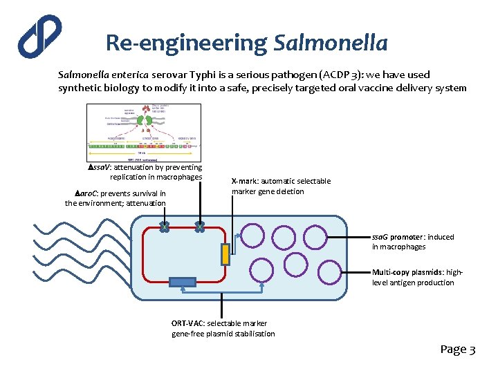 Re-engineering Salmonella enterica serovar Typhi is a serious pathogen (ACDP 3): we have used